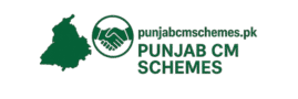 punjab cm schemes